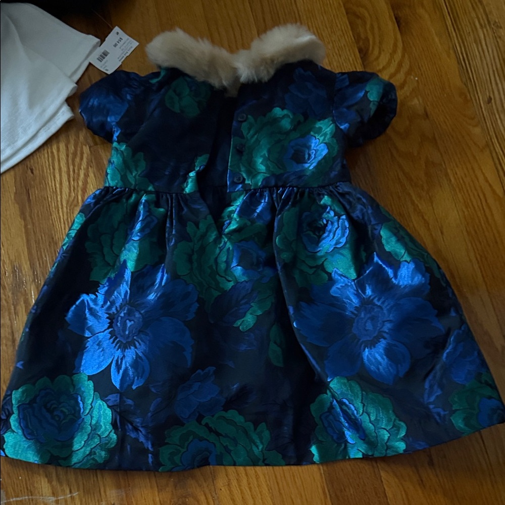 Janie and Jack Blue and Green Floral Dress with Faux Fur Collar